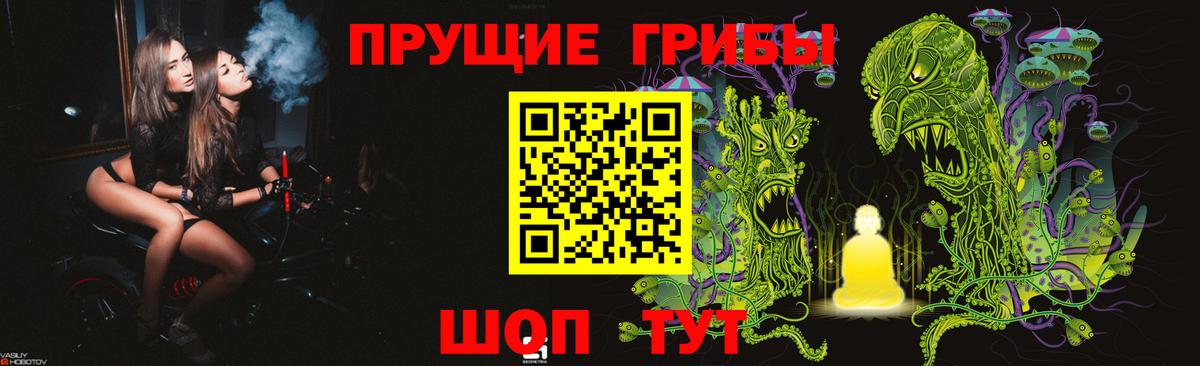 Киселёвск  Галлюциногенные грибы Psilocybine cubensis  Вход с VPN 